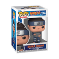Iruka Pop 1966